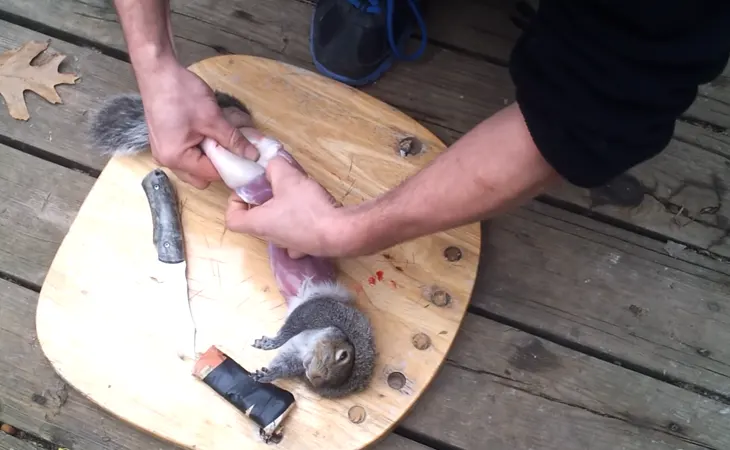 How to Skin A Squirrel Easily