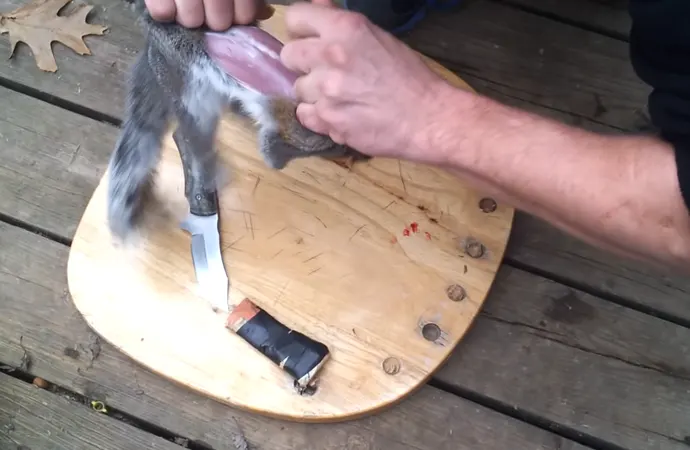 FAQs About Skinning The Squirrel