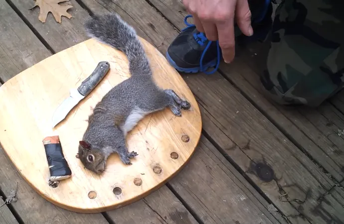 What Things Do You Need To Skin A Squirrel?